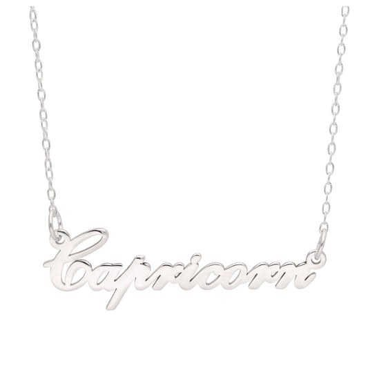 Collier signe astrologique Capricorne en argent sterling de 43 cm