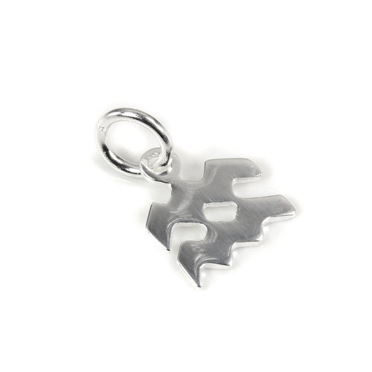 Petite breloque en argent sterling avec symbole Verseau 2D