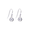 Boucles d'oreilles pendantes en argent sterling et boule de cristal CZ avec hameçon