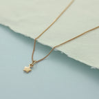 Collier en argent sterling plaqué or rose avec petite étoile de 35 à 81 cm