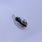 Breloque coquillage cauri en argent sterling