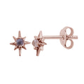Boucles d'oreilles à tige en argent sterling plaqué or rose avec pierre de lune étoilée