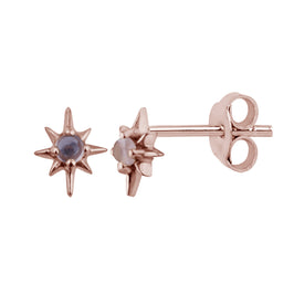 Boucles d'oreilles à tige en argent sterling plaqué or rose avec pierre de lune étoilée