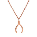 Collier en argent sterling plaqué or rose avec pendentif en forme de bréchet de 40 à 61 cm