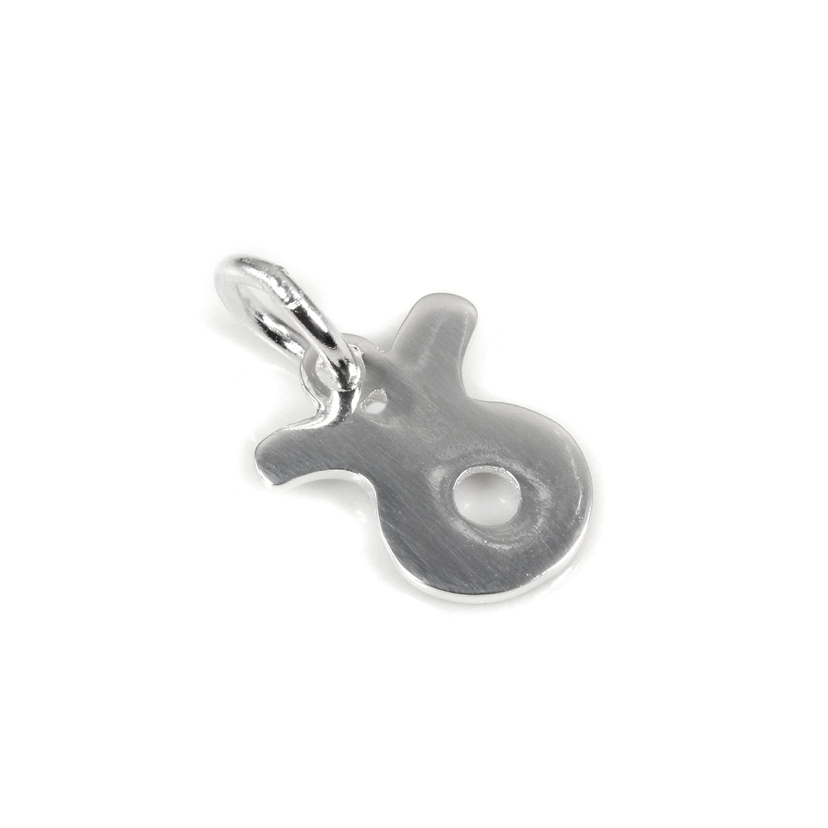 Petites breloques en argent sterling avec symboles du zodiaque 2D