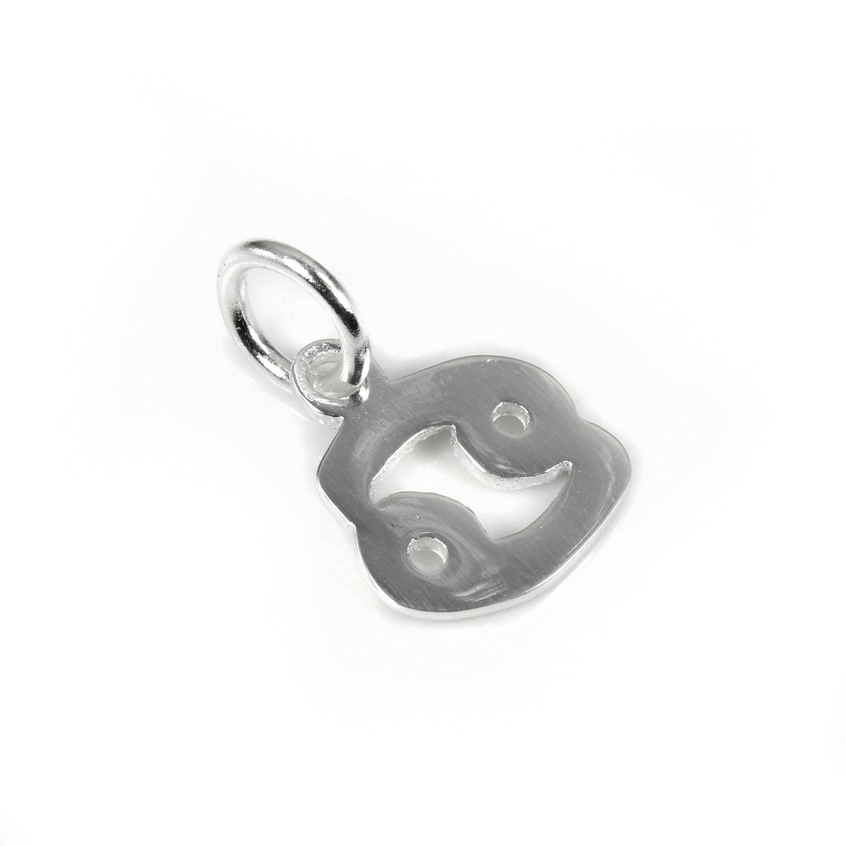 Petites breloques en argent sterling avec symboles du zodiaque 2D
