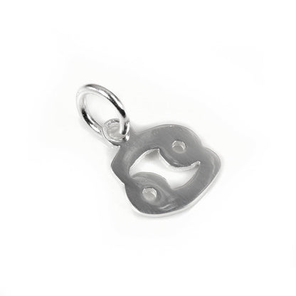 Petites breloques en argent sterling avec symboles du zodiaque 2D