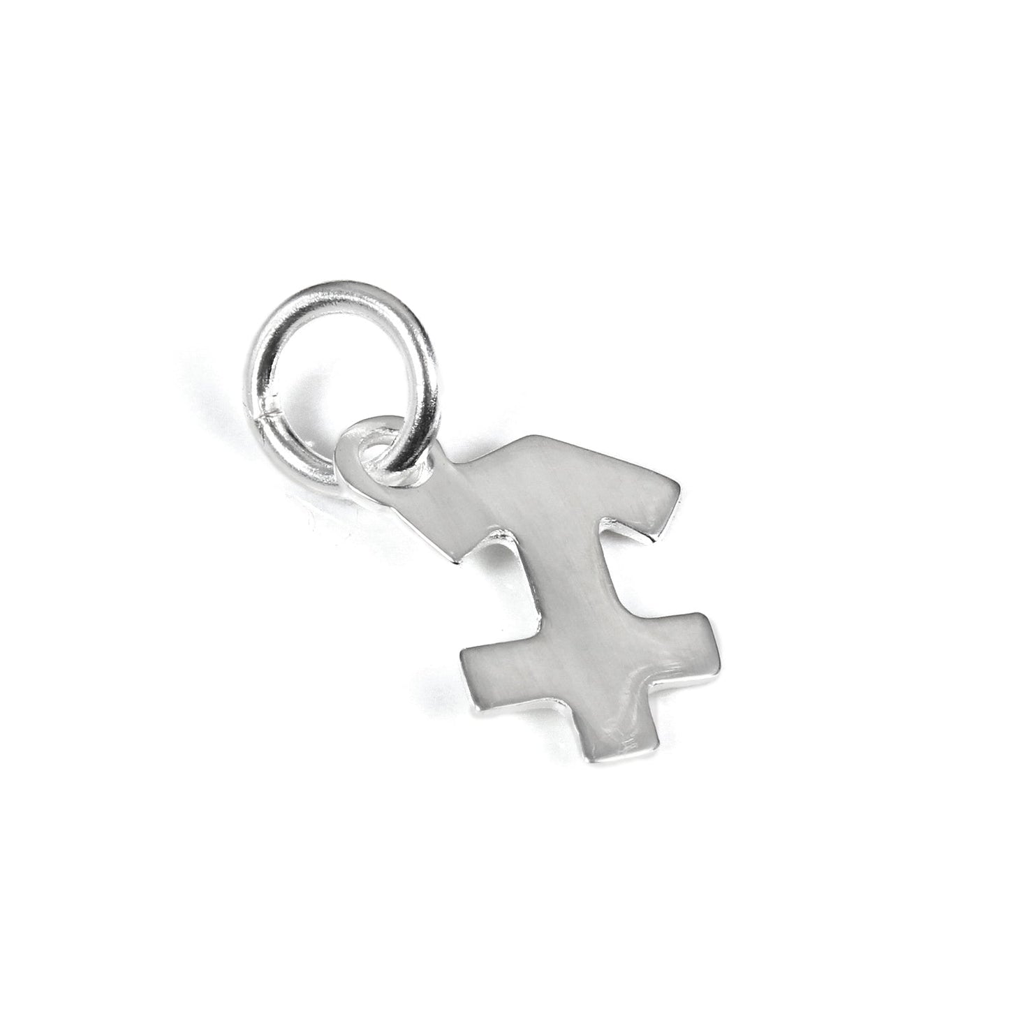 Petites breloques en argent sterling avec symboles du zodiaque 2D