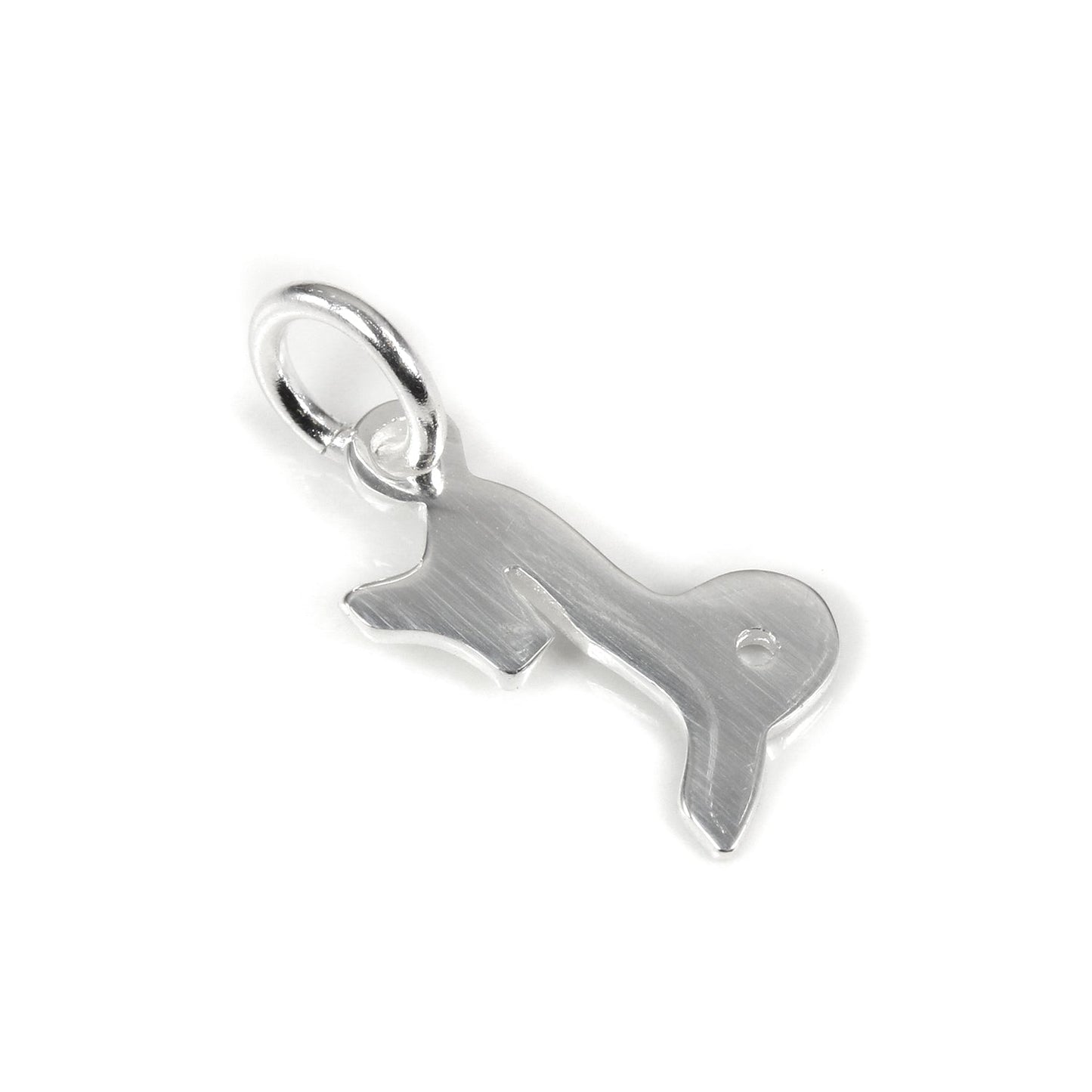 Petites breloques en argent sterling avec symboles du zodiaque 2D