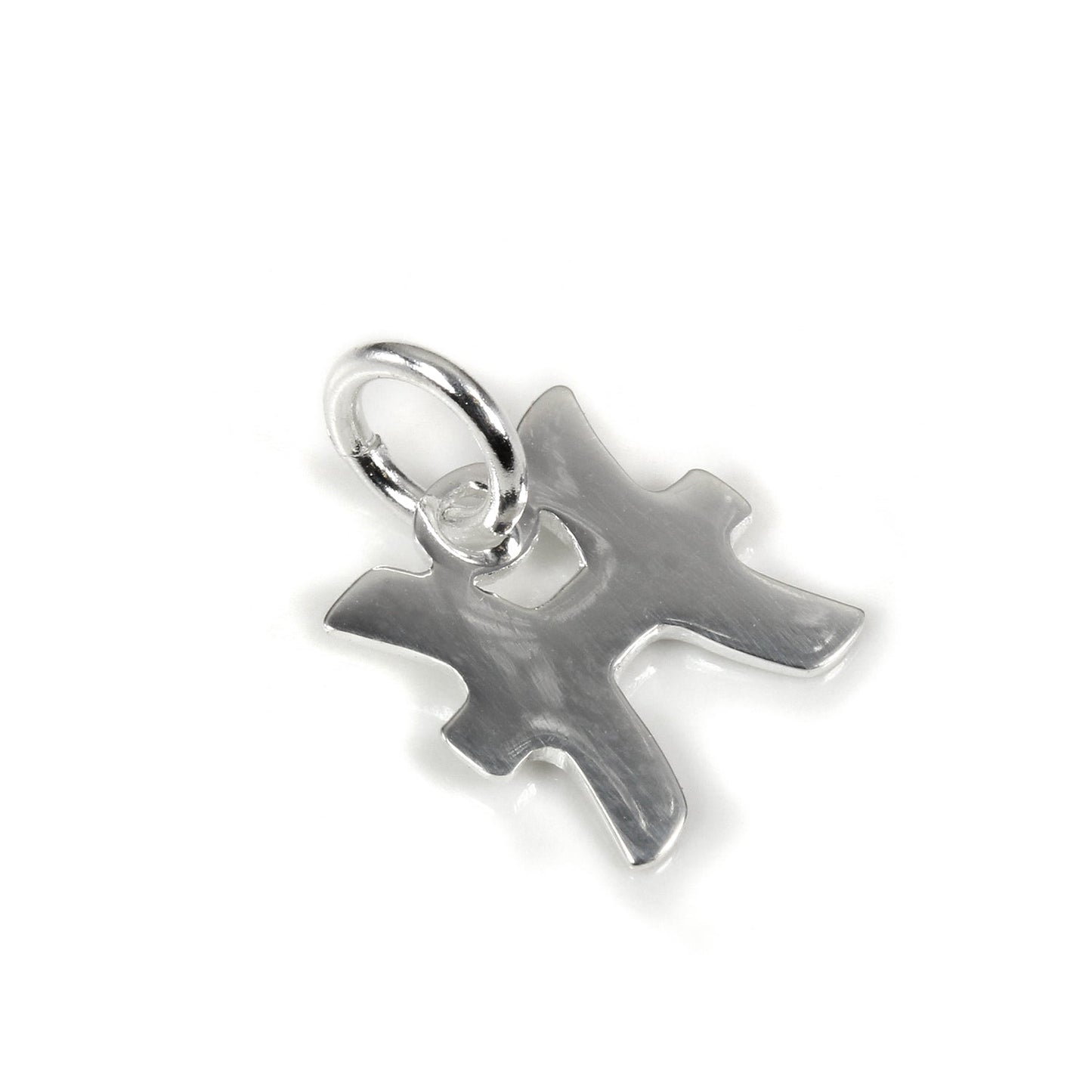 Petites breloques en argent sterling avec symboles du zodiaque 2D