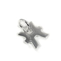 Petites breloques en argent sterling avec symboles du zodiaque 2D