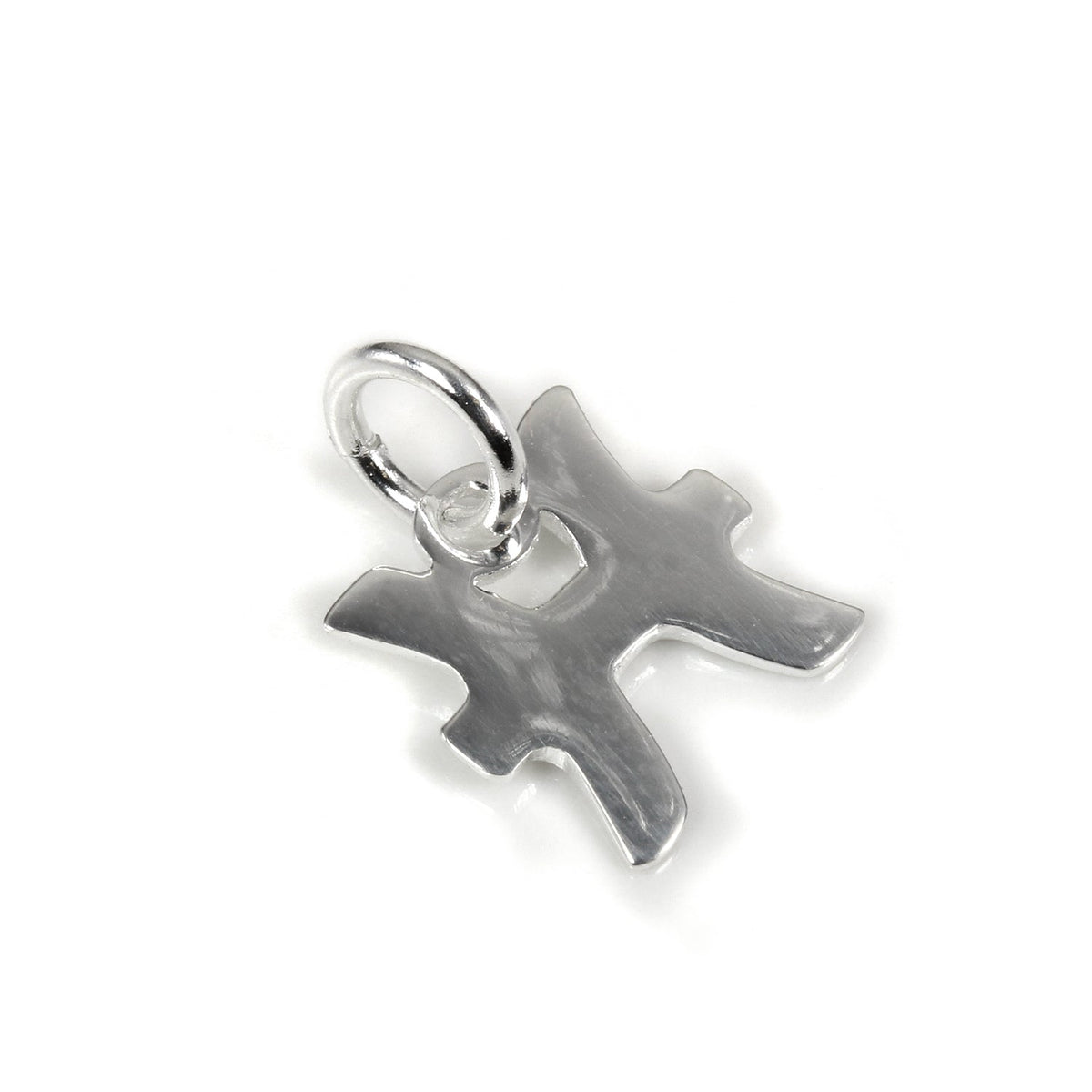 Petites breloques en argent sterling avec symboles du zodiaque 2D