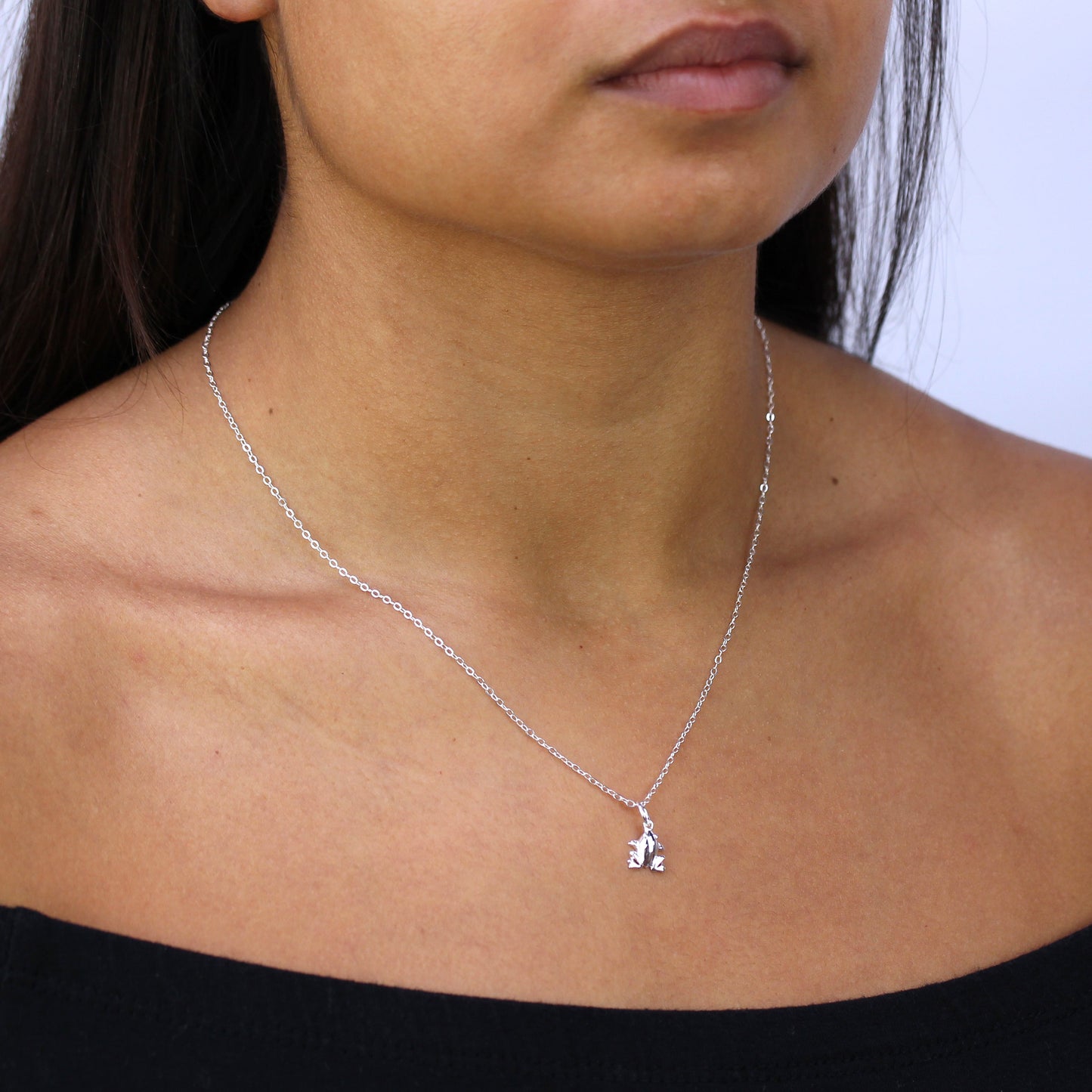 Collier grenouille en argent sterling 16 à 22 pouces