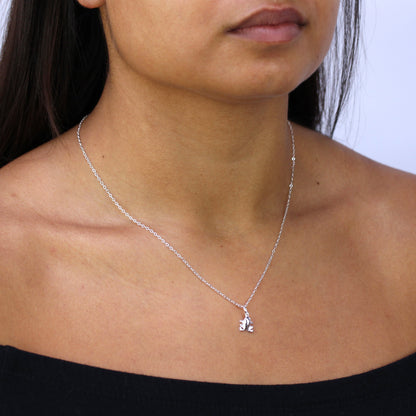 Collier grenouille en argent sterling 16 à 22 pouces