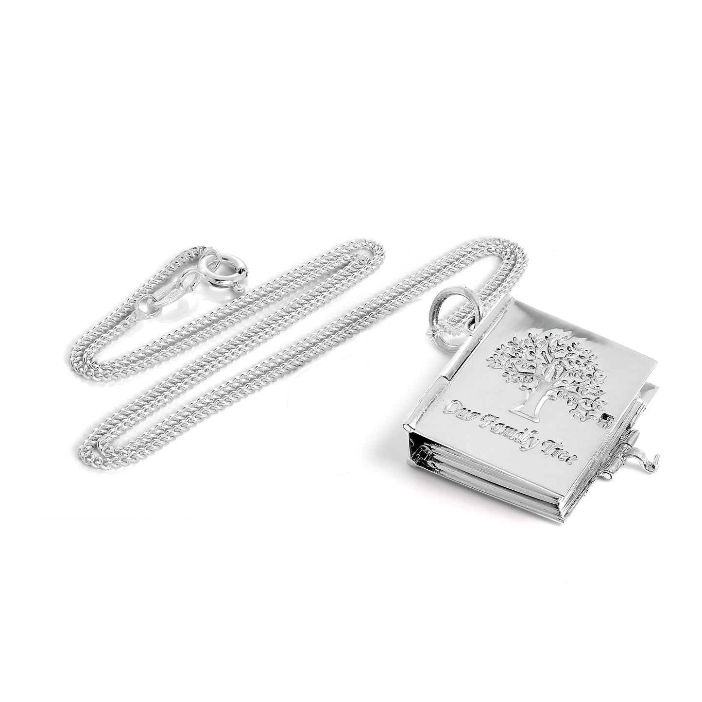 Médaillon arbre généalogique en argent sterling avec 6 photos et livre sur chaîne