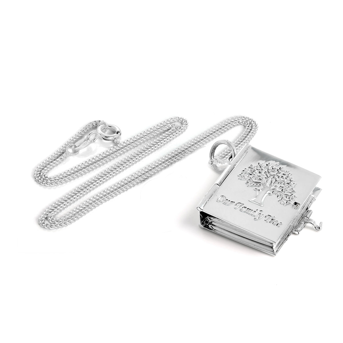 Médaillon arbre généalogique en argent sterling avec 6 photos et livre sur chaîne