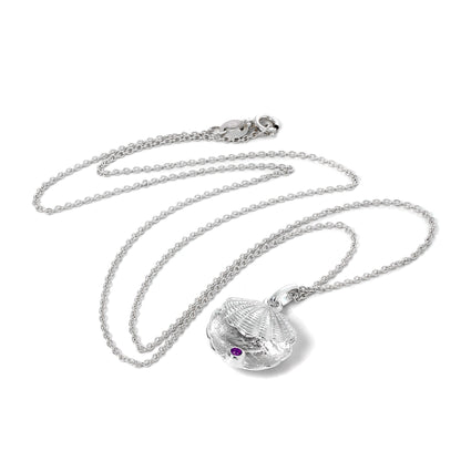Collier en argent sterling avec coquille d'huître et pierre de naissance violette en cristal CZ