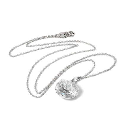 Collier en argent sterling avec coquille d'huître et pierre de naissance en cristal CZ aigue-marine
