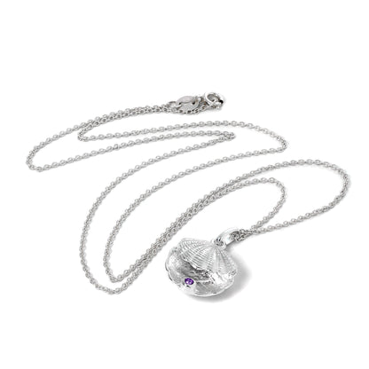 Collier en argent sterling avec coquille d'huître et pierre de naissance en cristal CZ améthyste