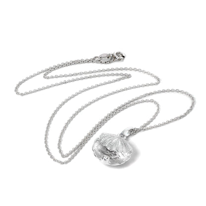 Collier en argent sterling avec coquille d'huître et pierre de naissance en cristal clair CZ
