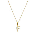 Pendentif lettre F en or 9 carats et cristal CZ transparent sur chaîne de 40 à 50 cm