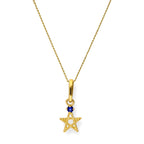 Collier avec pendentif étoile pentagramme en or 9 carats et saphir CZ